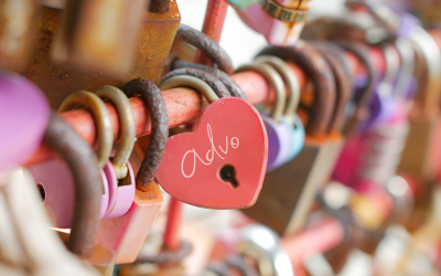 From Payslips to People Power: Why Payroll Clients are Unlocking More with Advo HR